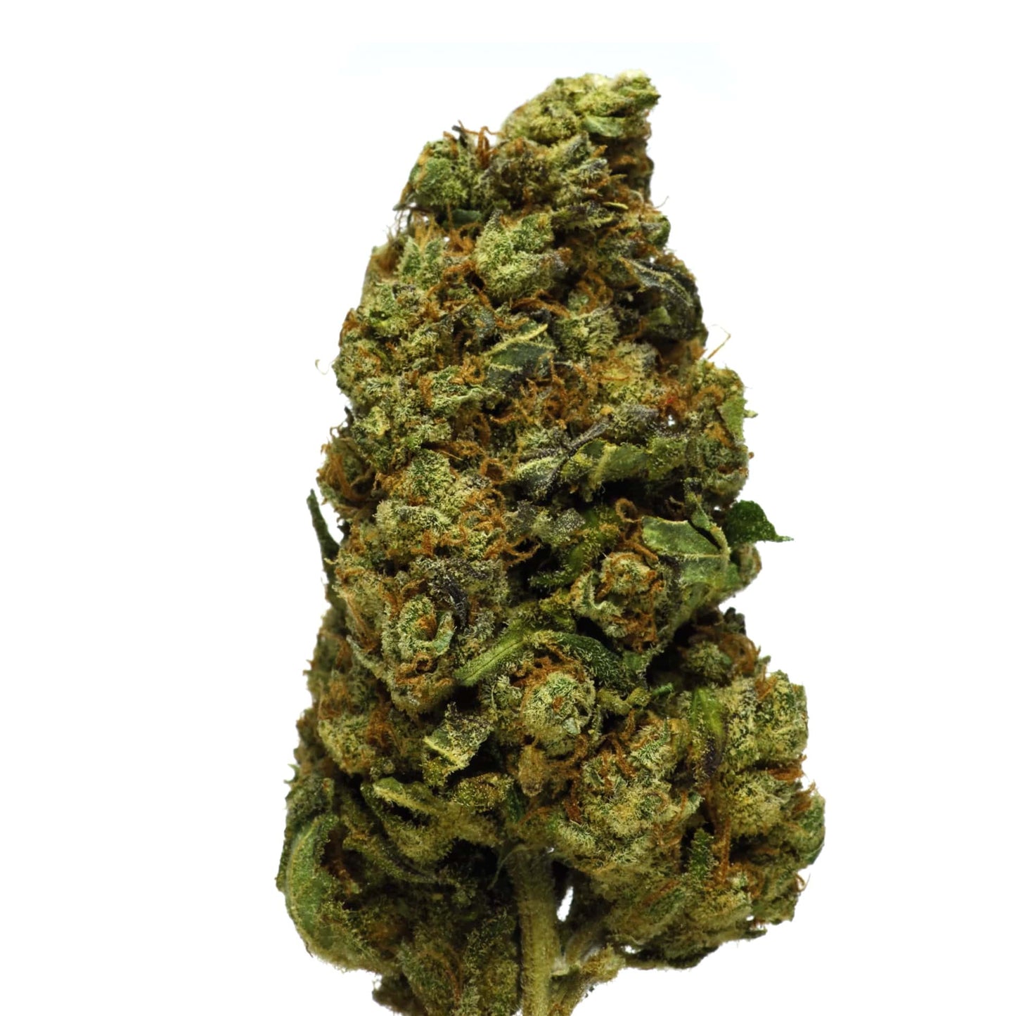 Jack Herer