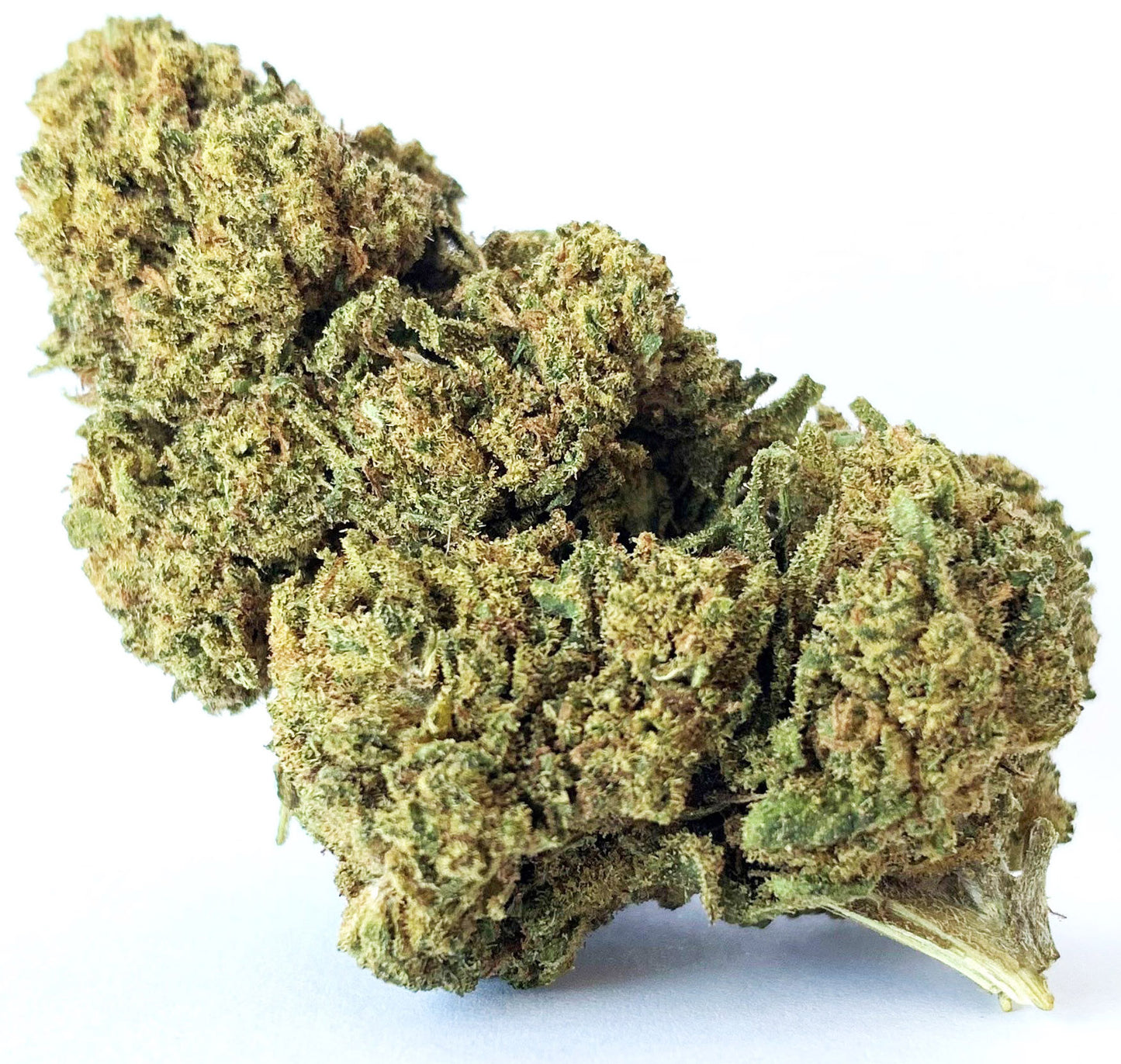 Diesel tonic