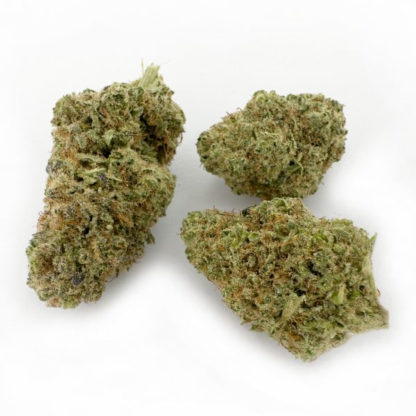 Bubble Gum