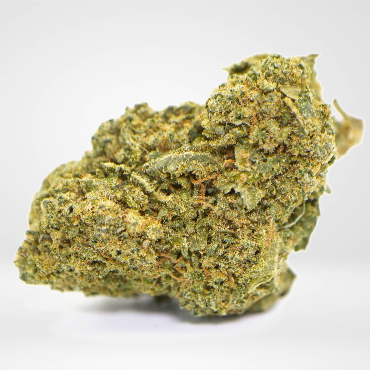Juicy Og DTZ